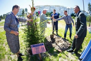 Молодожены Когалыма высадили деревья в аллее влюбленных // ФОТО