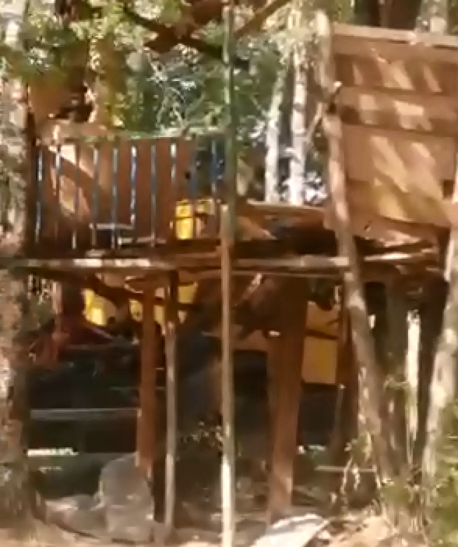 В Сургуте дети построили домик на дереве, но его снесли из соображений безопасности