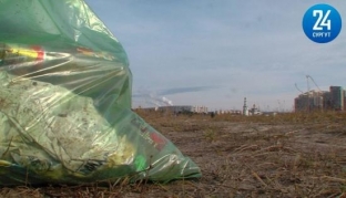 Во время акции «Чистый берег» сургутяне собрали 25 тонн мусора