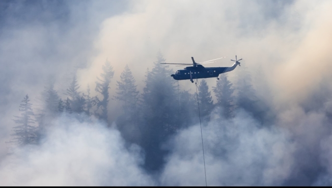 Специалисты назвали сумму ущерба от лесных пожаров в Югре в 2022 году