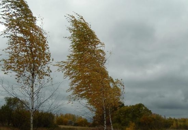 Октябрь в Сургуте начнется со штормового ветра