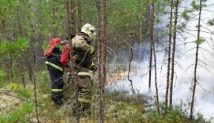 Пожароопасный сезон в Югре официально завершен