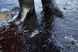 В Природнадзоре Югры опровергли факт разлива нефти в Нефтеюганском районе