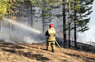 Первые лесные пожары зарегистрированы в Югре