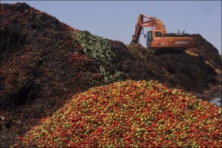 В Сургуте уничтожили более двух тонн санкционных продуктов