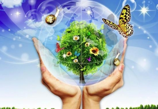 Спасти и сохранить! В Югре проходит экологическая «Неделя добра»