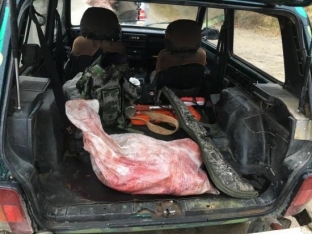 Незаконная охота. Югорчанина задержали с мясом лося в багажнике