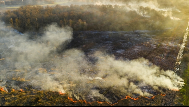 Смог над Сургутом стал меньше. Но площадь лесных пожаров в Югре выросла