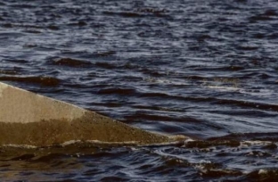 Уровень воды в Оби в Сургуте с 1 мая поднялся на 2 метра 31 сантиметр
