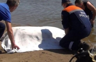 В Сургуте на Черной речке утонул мужчина