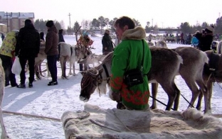 В Сургутском районе прошел Слет оленеводов, рыбаков и охотников