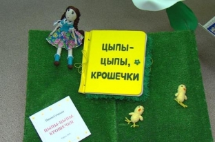 В Центральной детской библиотеке Сургута презентовали тактильную книгу для детей с ОВЗ