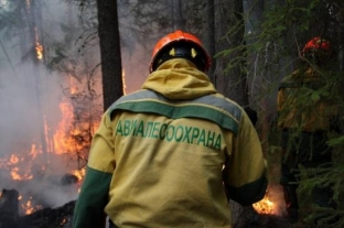 Под Сургутом ликвидировали лесной пожар