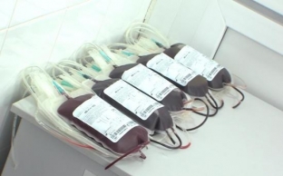 225 сургутян попали во всероссийский регистр доноров стволовых клеток и костного мозга