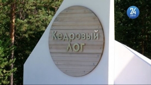 Сургуте на Городском штабе по строительству обсудили реновацию парка «Кедровый лог»