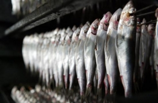 В Березовском районе закрылся рыбоконсервный завод