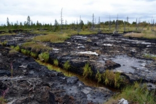 В природном парке Югры произошел разлив нефти