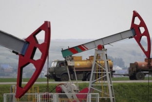 В России часть налога на добычу полезных ископаемых предложили отдавать детям