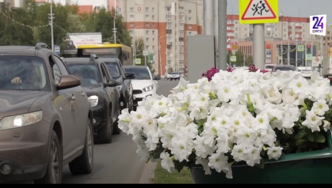 На цветочное оформление Сургута потратили 30 миллионов рублей