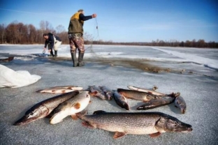 Жители Березовского района обсудят поправки в правила рыболовства