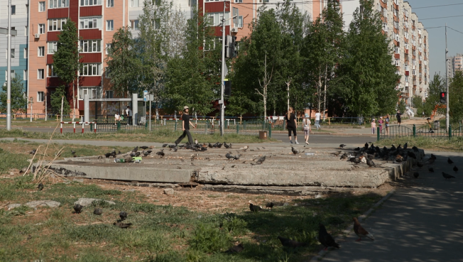 Сотрудники ГТС просят сургутян не кормить птиц на тепловых камерах