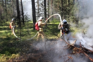 В Югре площадь лесных пожаров снова выросла до 10 гектаров