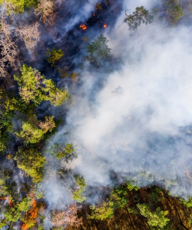 В Югре горит более трех тысяч гектаров леса