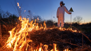Югорчанам пообещали денежное вознаграждение за сообщения о поджигателях леса