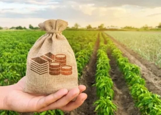 В Югре вырос размер субсидий на развитие агропромышленного комплекса