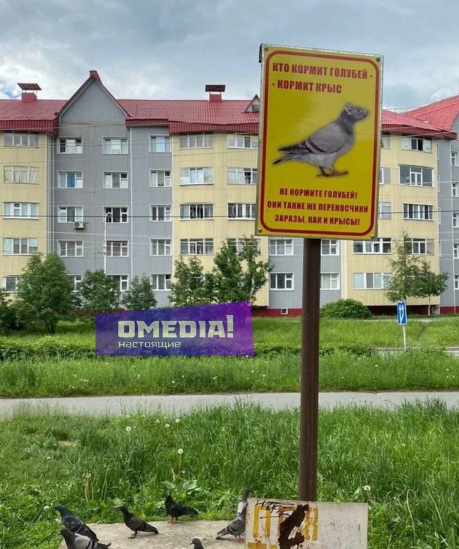 В Сургуте установили таблички с призывом не кормить голубей