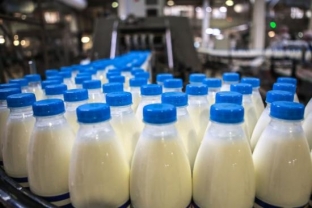 В детских садах и больницах Сургута и Сургутского района выдавали фальсифицированное молоко
