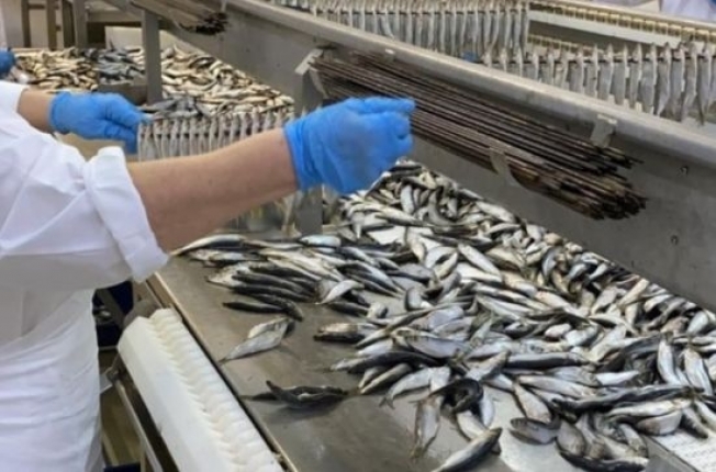 В Березовском районе восстановят рыбокомбинат