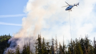 В Югре снизилось количество лесных пожаров