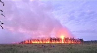В Югре горит более 900 гектаров леса
