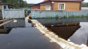 Пять поселений Сургутского района находятся в зоне паводка