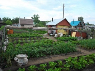 C 2019 года дачные участки превратятся в садоводческие и огороднические