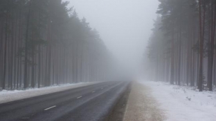 Госавтоинспекция предупреждает водителей о сильных туманах на дорогах Югры