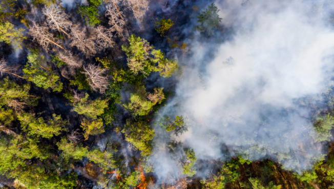 С 18 августа в Югре планируют снять режим ЧС из-за лесных пожаров