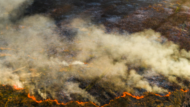 Площадь лесных пожаров в Югре увеличилась до 123 тысяч гектаров