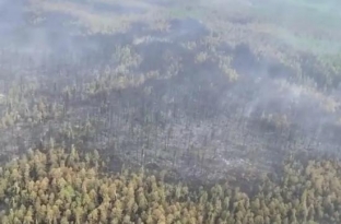 Остался один очаг. Площадь лесных пожаров в Югре за сутки сократилась в три с половиной раза