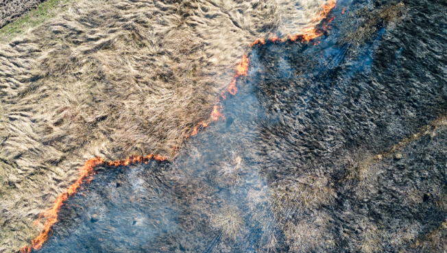 В Сургутском районе ликвидируют крупный ландшафтный пожар