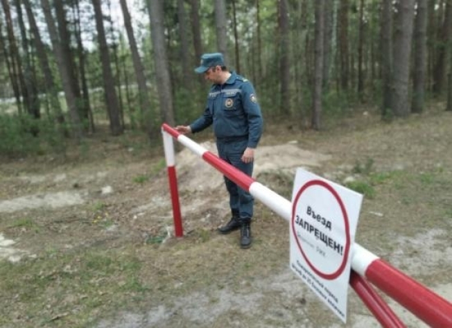 Жителям Тюменской области запретили ходить в лес
