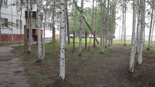 Сургутяне выступили против вырубки деревьев ради строительства спорткомплекса