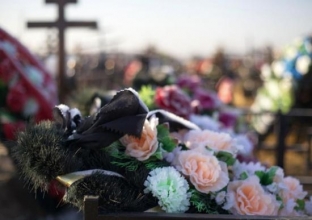 Реформа похоронных дел. В России может снизиться стоимость ритуальных услуг