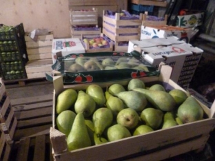 В одном из супермаркетов Сургута уничтожили 200 килограммов санкционных груш