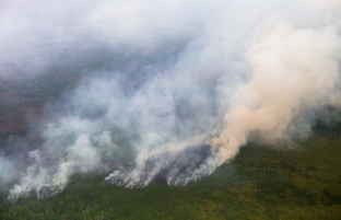 На Ямале бушуют лесные пожары