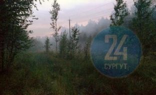 В Сургуте горел лес: дым от пожара окутал Нефтеюганское шоссе