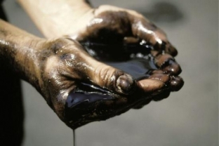 Шестеро югорчан лишены свободы за хищение нефти