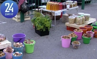 Стихийные рынки в Сургуте планируют благоустроить