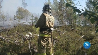 В Сургутском районе дачники помогли спасателям локализовать лесной пожар
